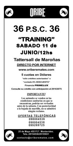 36 PSC 36 - Oribe Remates