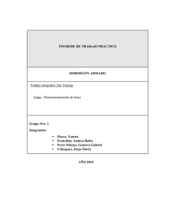 A&Ntilde;O 2016 INFORME DE TRABAJO PR&Aacute;CTICO HORMIG&Oacute;N