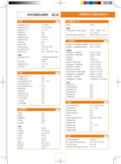 VOCABULARIO