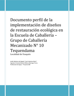 Documento perfil de la implementaci&oacute;n de dise&ntilde;os de restauraci&oacute;n