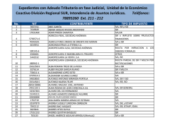 Gerencia Regional Sur