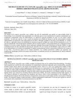 MICROAN&Aacute;LISIS DE UNA CEPA DE