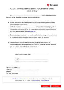 Anexo VI - Ayuntamiento de Zaragoza