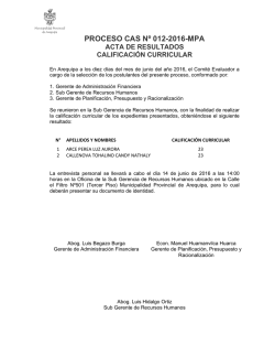 Calificacion Curricular - Municipalidad Provincial de Arequipa