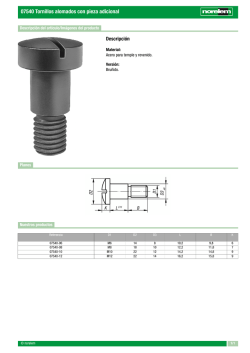 07540 Tornillos alomados con pieza adicional