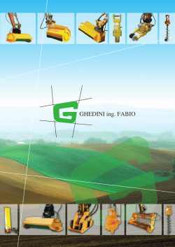 GHEDINI ing. FABIO
