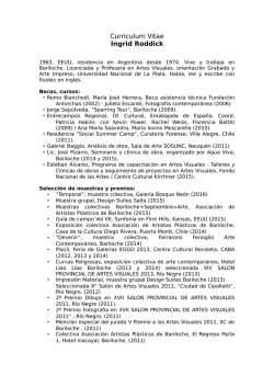 Curriculum Vitae Completo 2016