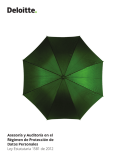 Asesor&iacute;a y Auditor&iacute;a en el R&eacute;gimen de Protecci&oacute;n de