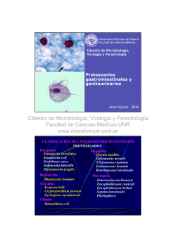 C&aacute;tedra de Microbiolog&iacute;a, Virolog&iacute;a y Parasitolog&iacute;a Facultad de