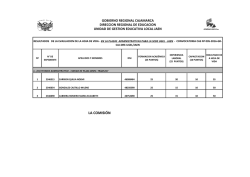 RESULTADOS EVALUACION DE LA HOJA DE VIDA CAS