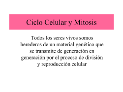 Presentaci&oacute;n de PowerPoint