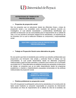 &bull; Proyectos de proyecci&oacute;n social Son los proyectos que se