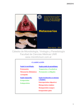 Metazoarios - C&aacute;tedra de Microbiolog&iacute;a, Virolog&iacute;a y Parasitolog&iacute;a