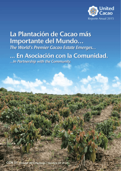 La Plantaci&oacute;n de Cacao m&aacute;s Importante del Mundo&hellip;
