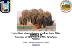 Presentaci&oacute;n Olivas org&aacute;nicas en el valle de