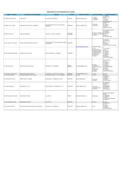 publicaci&oacute;n del plan local de seguridad ciudadana