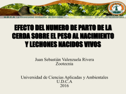 EFECTO DEL N&Uacute;MERO DE PARTO DE LA CERDA