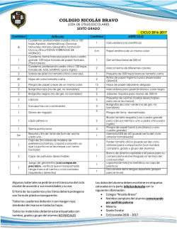colegio nicol&aacute;s bravo - Colegio Nicolas Bravo