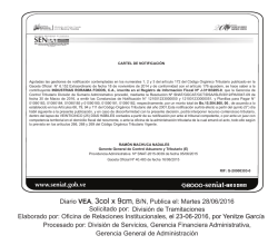 industrias roraima foods, ca