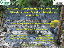 Presentaci&oacute;n de PowerPoint