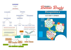 BIOQUIMICA PR&Aacute;CTICA
