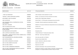 Anexo I de la Resoluci&oacute;n de concesi&oacute;n