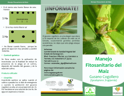 Manejo Fitosanitario del Ma&iacute;z