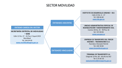 sector movilidad