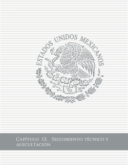 Cap&iacute;tulo 13 - Secretar&iacute;a de Comunicaciones y Transportes