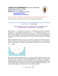 TEOR&Iacute;A ELECTROMAGN&Eacute;TICA (curso vacacional)