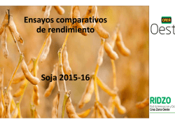 Informes 25 julio, 2016 Ensayo comparativo de