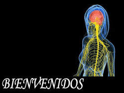 Presentaci&oacute;n de PowerPoint