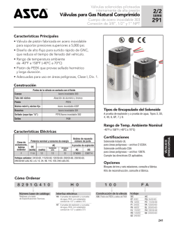 V&aacute;lvulas para Gas Natural Comprimido
