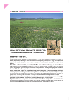 Ficha descriptiva del &Aacute;rea esteparia del Campo de Montiel