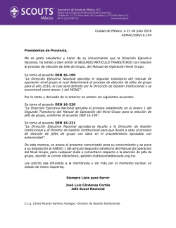 JSN 16.194 Proceso de elecci&oacute;n de Jefes de Grupo.