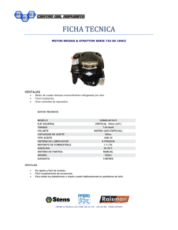 motor 190CC 128m02 0010