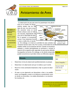 Avistamiento de Aves