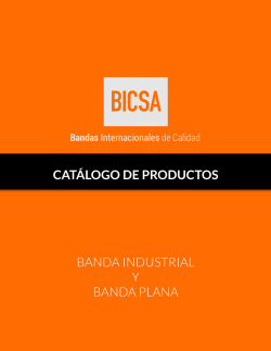 Descarga Cat&aacute;logo