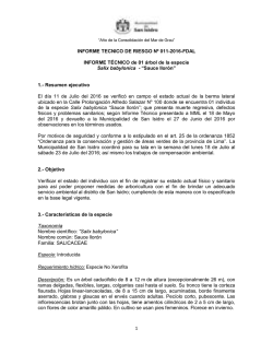 ITR N&deg; 011-FDAL - Municipalidad de San Isidro