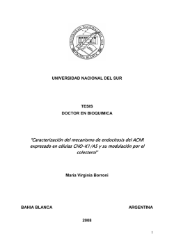 Tesis Borroni, MV - Repositorio Institucional de la Universidad