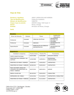 Hoja de Vida - Ministerio de Minas y Energ&iacute;a