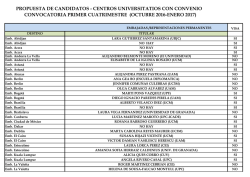 Resoluci&oacute;n definitiva del MAEC