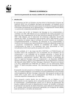 Servicio de generaci&oacute;n de mosaico satelital 2016 del departamento