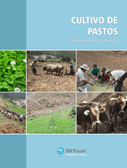 MANUAL PASTOS CULTIVADOS