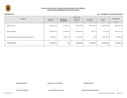 estado analitico del ejercicio del presupuesto de egresos