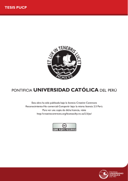Pontificia Universidad Cat&oacute;lica del Per&uacute;