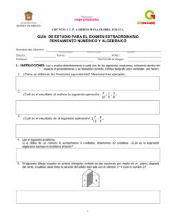 Pensamiento Num&eacute;rico y Algebraico