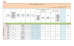 Plantilla de recogida de informaci&oacute;n Grupo Lilly Espa&ntilde;a 2015