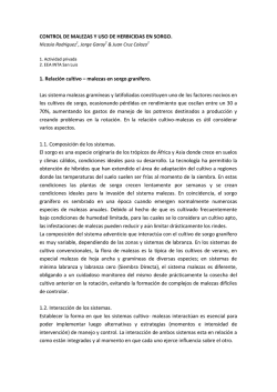 file_download - Agroconsultas Online