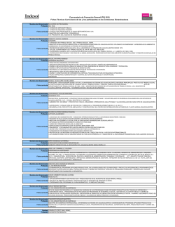 Concentrado fichas curriculares 2010 PG